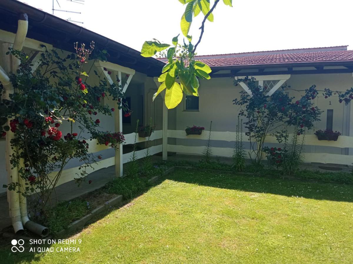 Rooms Lutra Bilje Zewnętrze zdjęcie